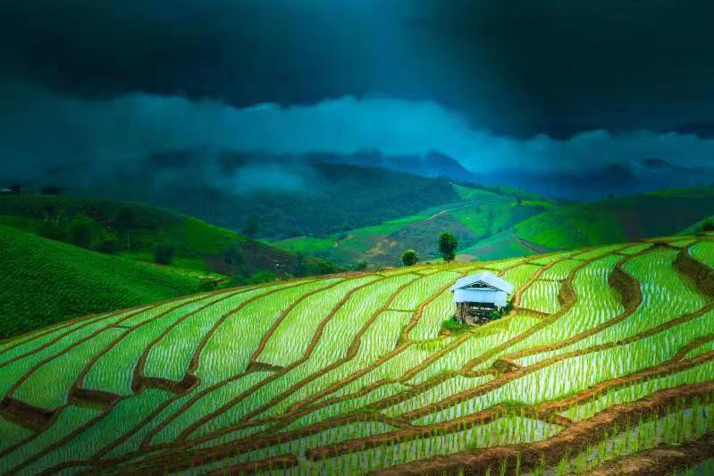 智慧农业信息化产品